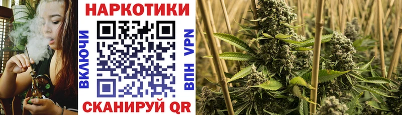 Наркотические вещества Куса МЕТАДОН  Каннабис  Alpha PVP  АМФЕТАМИН 