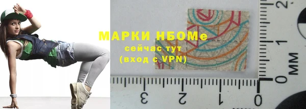 ешки Алексин