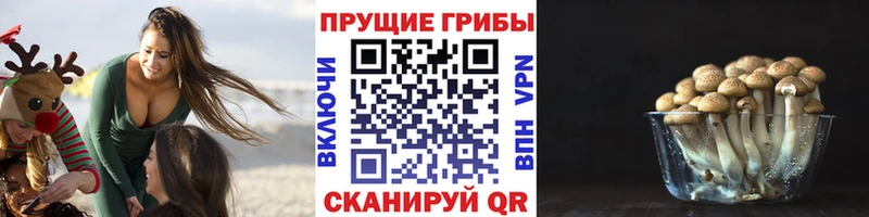 это какой сайт  как найти закладки  Куса  Галлюциногенные грибы Magic Shrooms 